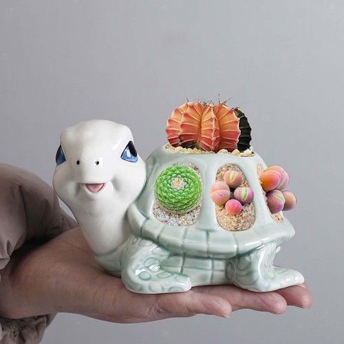 Figurine tortue pot - en,
