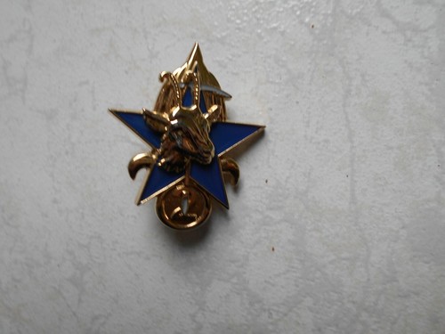 Insigne legion etrangere - insigne, 2°