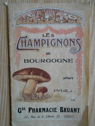 Champignons bourgogne - champignons,