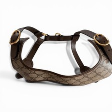 Harnais pour chien Gucci Dog