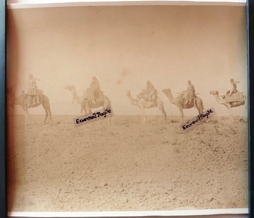 Photo albumen maghreb - photo,