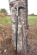 H5951  CANNE   TETE DE