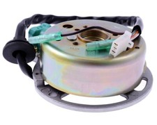 Rotor d'alternateur /Stator