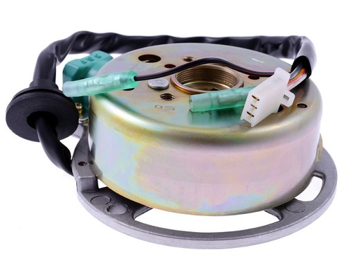 Rotor alternateur stator - d'alternateur, /stator
