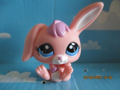 Petshop lapin belier 2513 - lapin,