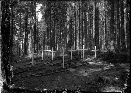 Vosges tombes militaire - , 1er