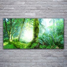 Image sur verre acrylique Tableau Impression 120x60 Nature Forêt