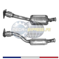 Catalyseur pour RENAULT KANGOO