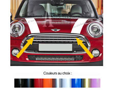 2 X BANDES CAPOT POUR MINI