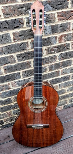 Greg bennett design samick - greg, by