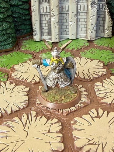 Thorgrim the viking - thorgrim,