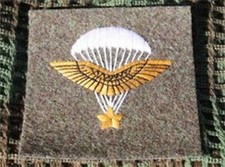 Brevet de parachutiste FAFL,compagnie d'infanterie de l'air 