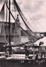 29 CONCARNEAU SARDINIER A L