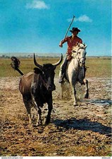 Animaux - Taureaux - Camargue
