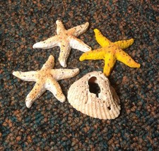 assortiment déco aquarium / coquillage- étoiles de mer - occasion