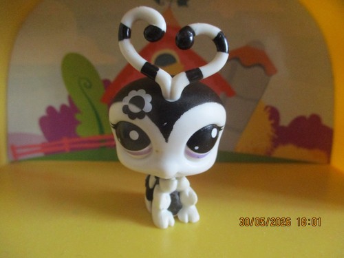 Petshop love bug 2250 - petshop,