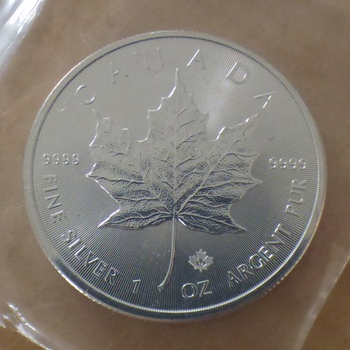 Canada maple leaf 2019 - maple,