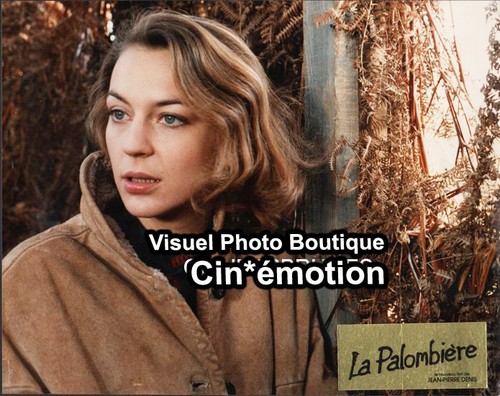 Photos glacées 24x30 - photos, 24x30.5cm