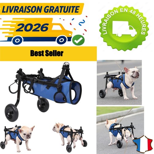 Fauteuil roulant pour - , 2