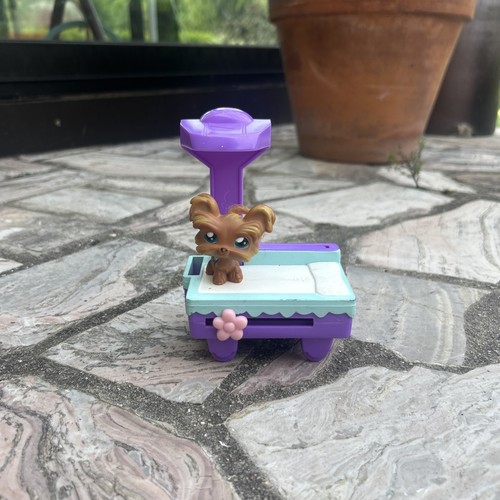petshop veterinaire