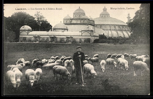 Cpa laeken les - les, serres