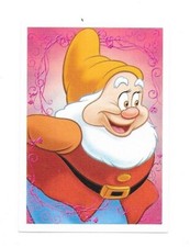 Vignette Disney - Princesse