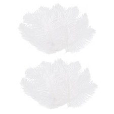 20 PièCes Plume D'Autruche