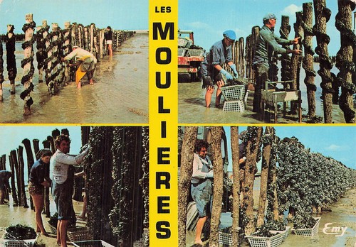 Gouville sur mer - mer, plage