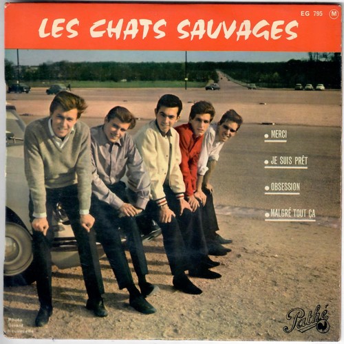 Les chats sauvages mike - les,
