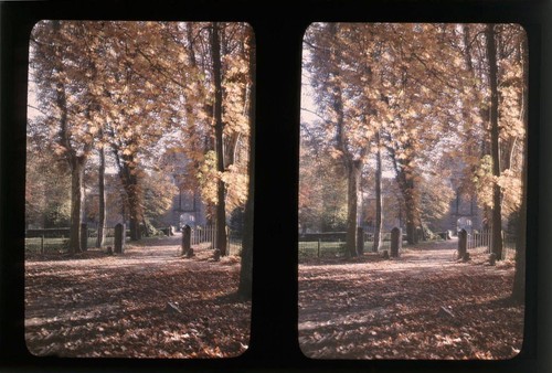 Autochrome stéréo - autochrome,