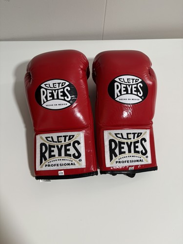 Cleto reyes pro fight - reyes,