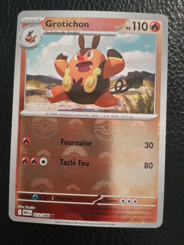 Carte pokémon grotichon - carte,
