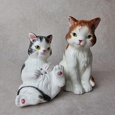 Chat sel poivre - sel,