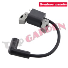 Bobine d'allumage pour Briggs