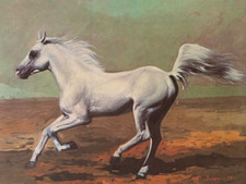 RARE - ORIENTALISME - UNE PUR SANG ARABE AU GALOP - CHEVAL  - TIRAGE LIMITE
