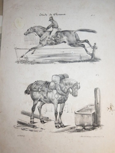 Rare grande litho etude - rare,