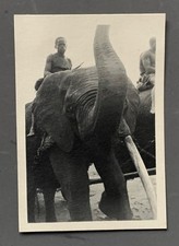 Photo ancienne afrique - photo,