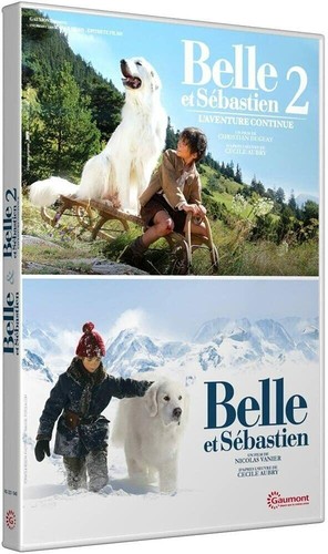 Belle sébastien - sébastien,