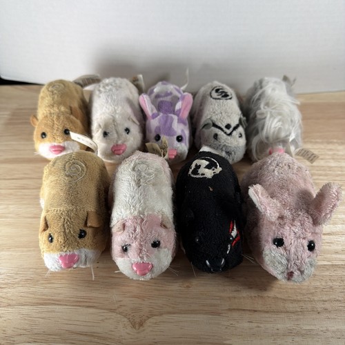 Lot zhu pets hamsters - lot,