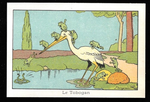 Tobogan grenouilles - grenouilles,