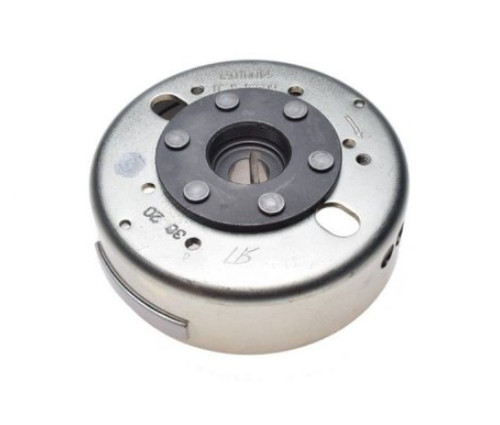 Rotor polrad alternateur - rotor,