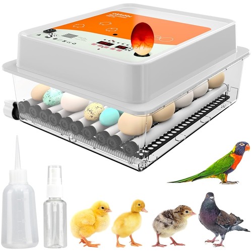 Incubateur automatique - incubateur,