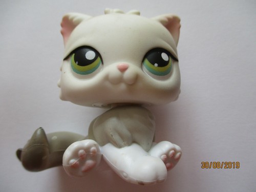 Petshop chat persan - petshop, n°328
