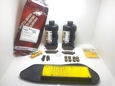 Set Entretien Eni Courroie Rouleaux Plaquettes Filtre à Huile Yamaha X City 250