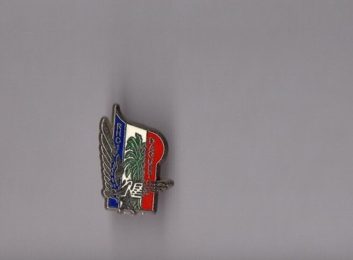 Pin armée insigne - pin's,
