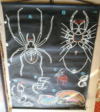 Affiche Scolaire Entoilee