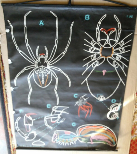Affiche scolaire entoilee - affiche,