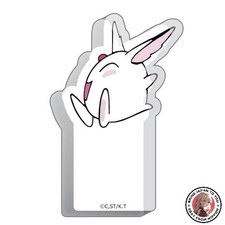 NOUVEAU TV Anime Magic Knight