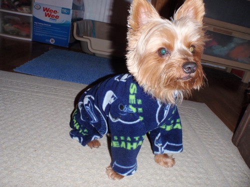 Seattle seahawks fleece dog - seahawks,