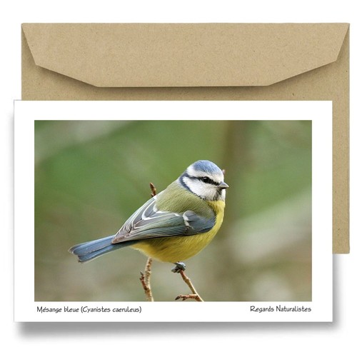 Carte postale papier - , aquarelle